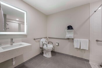 Standard Room, 1 Queen Bed, Accessible, Non Smoking (Walk-in Shower)
