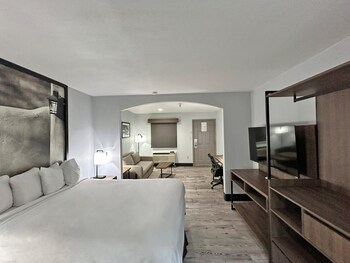 Standard Room, 1 Queen Bed, Non Smoking (with Single Sofabed)