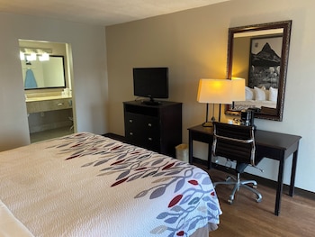 Superior Room, 1 King Bed, Non Smoking