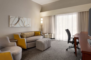 Standard Studio, 1 King Bed with Sofa bed