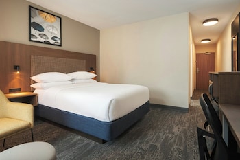Room, 1 King Bed