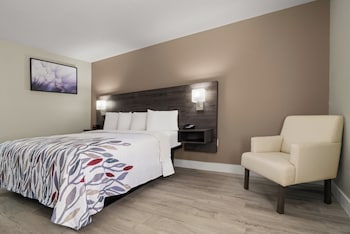Deluxe Room, 1 King Bed, Accessible, Non Smoking (Roll-In Shower)