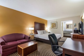 Room, 1 King Bed, Smoking