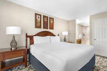 1 BEDROOM 1 KING DELUXE SUITE WITH BALCONY
