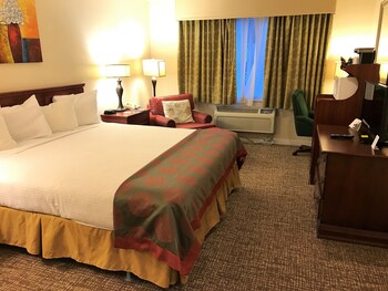 Room, 1 King Bed, Non Smoking