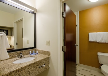 Executive Suite, 1 King Bed with Sofa bed