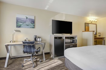 Standard Single Room, 1 King Bed, Accessible, Refrigerator & Microwave (Walk-in Shower)