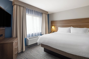 Suite, 1 Bedroom (Living Room)