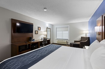 Standard Room, 1 King Bed, Non Smoking