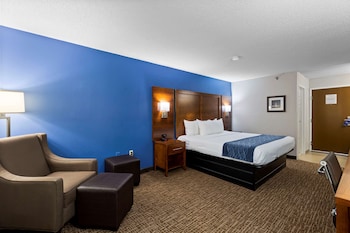 Standard Room, 1 King Bed, Non Smoking