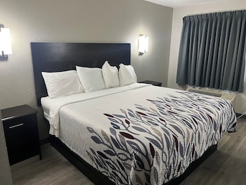 Superior Room, 1 King Bed, Non Smoking