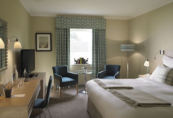 Room, 1 King Bed (Garden)