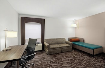 Suite, 1 King Bed with Sofa bed