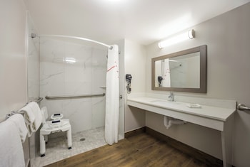 Deluxe Room, 1 King Bed, Accessible (Roll-In Shower, Smoke Free)