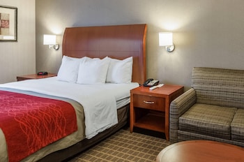 Standard Room, 1 King Bed, Non Smoking