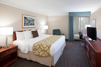 Room, 1 King Bed, Non Smoking
