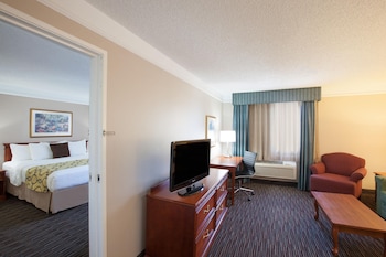 Suite, 1 King Bed, Non Smoking (One-Bedroom Suite)