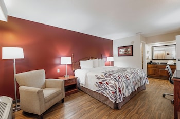 Superior Room, 1 King Bed, Non Smoking