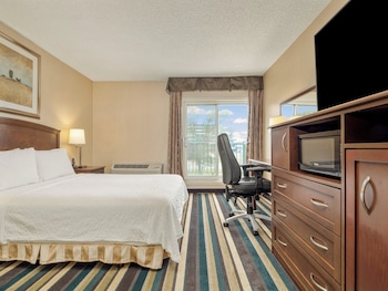 Standard Room, 1 Queen Bed, Accessible (Mobility, Roll-In Shower)