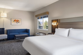 Suite, 1 King Bed with Sofa bed