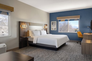 Suite, 1 King Bed with Sofa bed