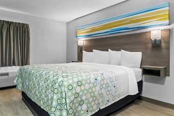 Studio, 1 King Bed, Non Smoking