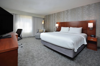Room, 1 King Bed (Mobility/Hearing Access, Roll-In Shwr)