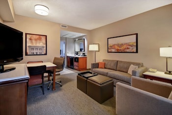 Standard Suite One King and One Sofa Bed Non-Smoking