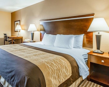 Standard Room, 1 King Bed, Non Smoking