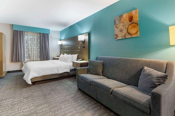 Suite, 1 King Bed, Accessible, Non Smoking (with Sofabed)