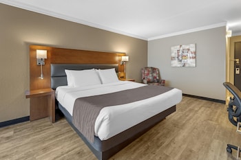 Standard Room, 1 King Bed, Non Smoking