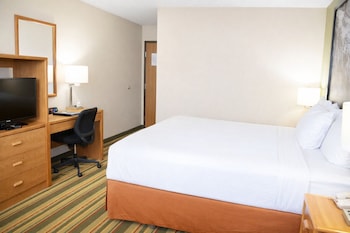 Room, 1 King Bed, Non Smoking