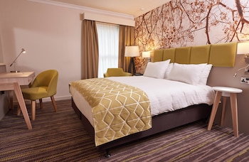 Standard Room, 1 Double Bed, Accessible