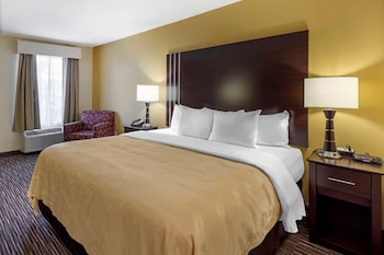 Standard Room, Non Smoking ( King Bed or 2 Doubles)