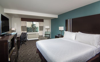 Suite, 1 King Bed