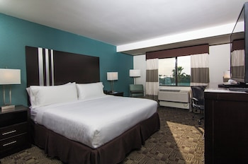 Suite, 1 King Bed, Accessible (Communications, Roll-In Shower)