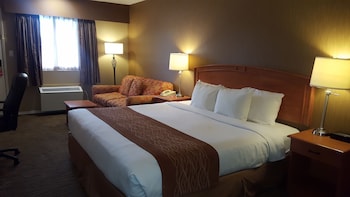 Room, 1 King Bed
