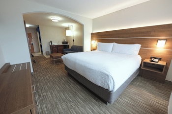 Suite, 1 King Bed with Sofa bed