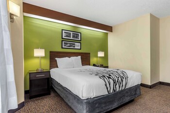 Room, 1 Queen Bed, Accessible, Non Smoking