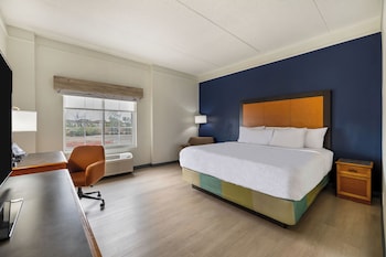 Room, 1 King Bed, Non Smoking