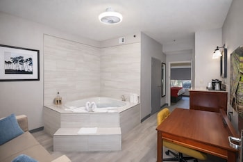 Deluxe Suite, 1 Bedroom, Non Smoking