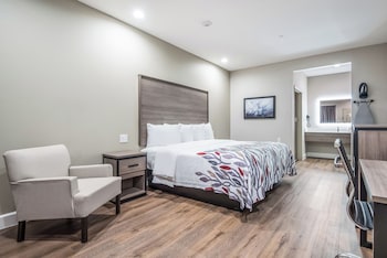 Superior Room, 1 King Bed, Accessible, Non Smoking