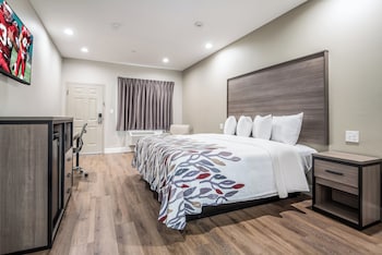 Superior Room, 1 King Bed, Accessible, Non Smoking