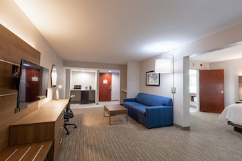 Suite, 1 King Bed