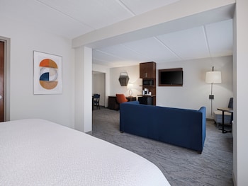 Suite, 1 King Bed with Sofa bed