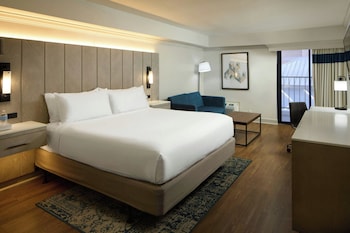 Room, 1 King Bed with Sofa bed
